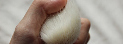 Zoeva Brushes - большой обзор