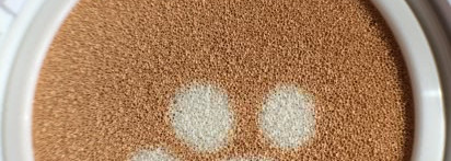 Holika Holika Dodo CAT Face 2 Change Glow BB Cushion в оттенке #21 SPF 50+