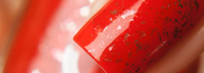 Dance Legend Red Cow и Illuminate