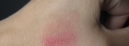 Сокровище масс-маркета: праймер для век Wet n Wild