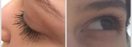 Lumene Blueberry Volume Mascara (Rich Black)