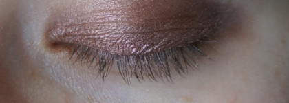 Обманчивый лес Tammy Tanuka