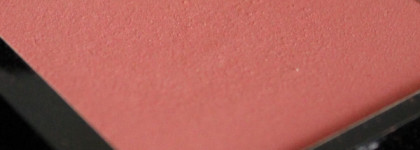 NYX High Definition Blush #15 & NYX Pro Fan Brush #02