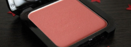 NYX High Definition Blush #15 & NYX Pro Fan Brush #02