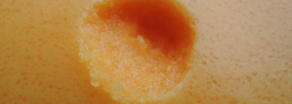 Organic Shop скраб для тела "Сицилийский апельсин"