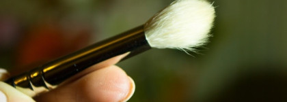 Мои бюджетные кисти: Hakuro и Sigma