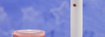 Моя маленькая коллекция матовых помад от NYX soft matte lip cream: Stockholm, Tokyo, San Paolo, Milan, Cannes, Copenhagen