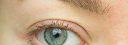 Битва супербюджетных тушей: Luxvisage против Eveline