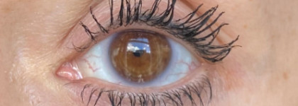 Бюджетные туши в моей "коллекции"