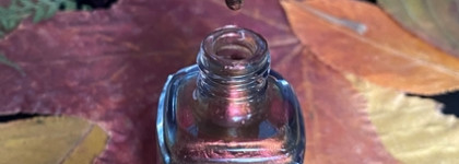 Осенний лак для ногтей Chanel Lе Vernis Opulence 917