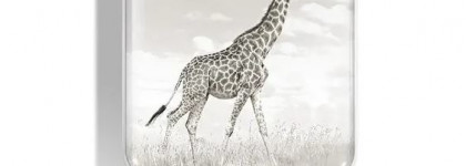Chantecaille Giraffe Conservation Collection