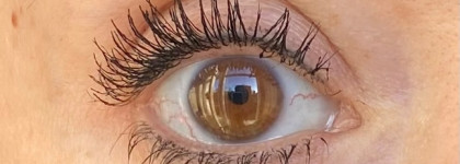 Бюджетный фаворит этой зимы - Eyelash mascara Extra volume от Shik cosmetics