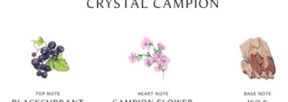 Новые ароматы Wild Swimming от Jo Malone