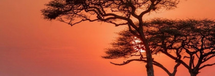 Новые ароматы от Giorgio Armani в коллекции Les Terres Precieuses Armani Prive