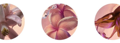 Paco Rabanne Olympea Solar Eau de Parfum Intense