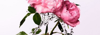 Christian Dior Miss Dior Rose Essence