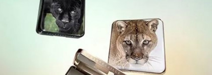 Chantecaille Fall 2022 Cougar и Black Jaguar Collections