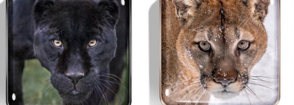 Chantecaille Fall 2022 Cougar и Black Jaguar Collections