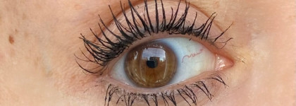 Luxvisage Тушь для ресниц Perfect Color веер пышных ресниц