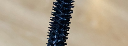 Influence Beauty Тушь для ресниц Lash Singularity 01 эффект бесконечно длинных ресниц