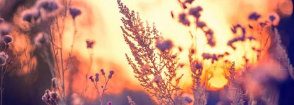 Pupa Milano Sunny Afternoon Spring Collection 2023