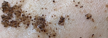 Моя небольшая коллекция кофейно-шоколадных скрабов для тела