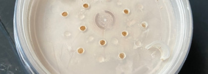 Nude Cosmetics Минеральная пудра SPF15 в оттенке 03 Средний нейтральный