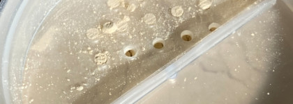 Ecomake Минеральная Тональная Основа в оттенке 02