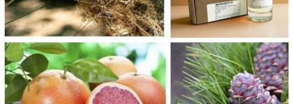 Le Labo EdP Bergamote 22 — аромат, который хотелось бы любить, но не получилось