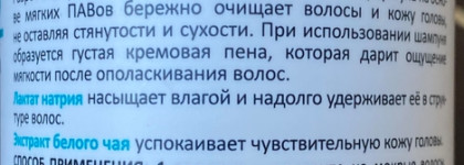 Шампунь и Бустер Aravia Professional: Быстрое очищение с эффектом профессионального салона