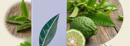 Аромат, который я помнила совсем другим: возвращение к Green Tea от Elizabeth Arden