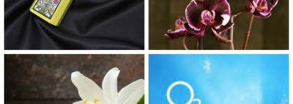 Я ждала нежную орхидею и ваниль, а получила тропический манго с озоном: Flora Gorgeous Orchid Gucci