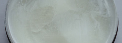 Chocopie: польза и наслаждение