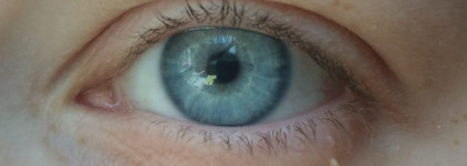 Любимая коричневая тушь Eva Mosaic