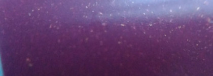 Мой ягодный дуэт