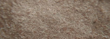 Одинарные тени от корейского бренда The Saem