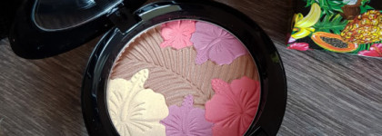 Часть коллекции MAC Fruity Juicy: помада Amplified Crème Lipstick в оттенке Love At First Bite и компактная пудра для лица Pearlmatte Face Powder в оттенке Oh My Passion