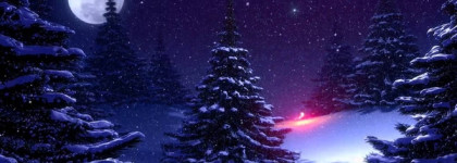 Макияж в красках зимы. Ночь перед Рождеством