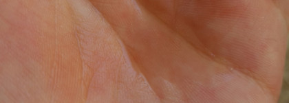 Divina Bellezza - уходовая косметика на основе вина. Спрей для лица, крем для рук и бальзам для губ