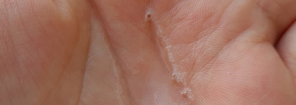 Любимчики летнего макияжа от NARS, Becca, Anastasia Beverly Hills, Charlotte Tilbury и Shu Uemura