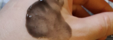 Очищение углем: скатка с бамбуковым углем от «Пропеллер»