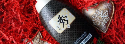 Укрощение строптивых с Daeng Gi Meo Ri