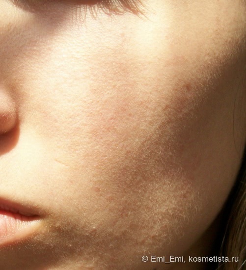 Missha The Style Fitting Wear Two-way Cake Spf27/pa++