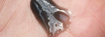 Дуэт Riche  с маслом амлы