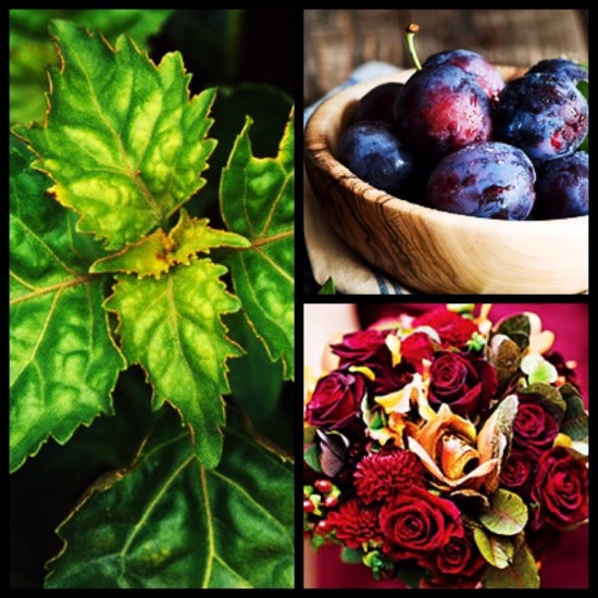 Похититель Роз L`artisan Voleur de Roses