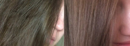 Моё знакомство с Concept Green line