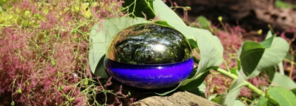 Находка для уставшей и тусклой кожи! Regenerating Night Cream Premier - увлажняет, выравнивает тон кожи, придает свежий и здоровый вид