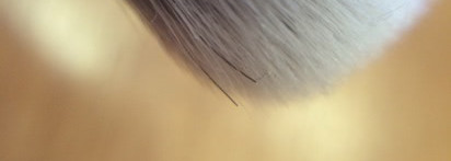 Real Techniques by Samantha Chapman "Eyes Starter Set 5 Brushes + Case"