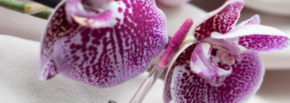 MAC Retro Liquid Lipcolour в оттенке Tailored To Tease