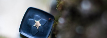 L’Etoile Selection Comme Il Faut L'Etoile Lipstick коллекция «Царство 3/9» в оттенке #225 Королевна